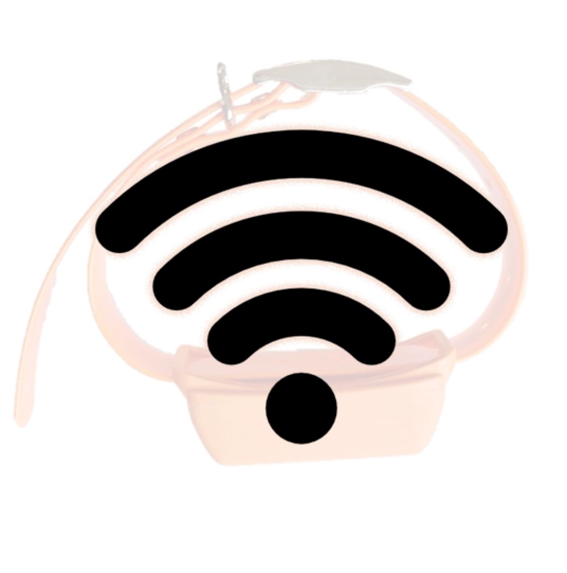 Aastane jälgimisseadme internet