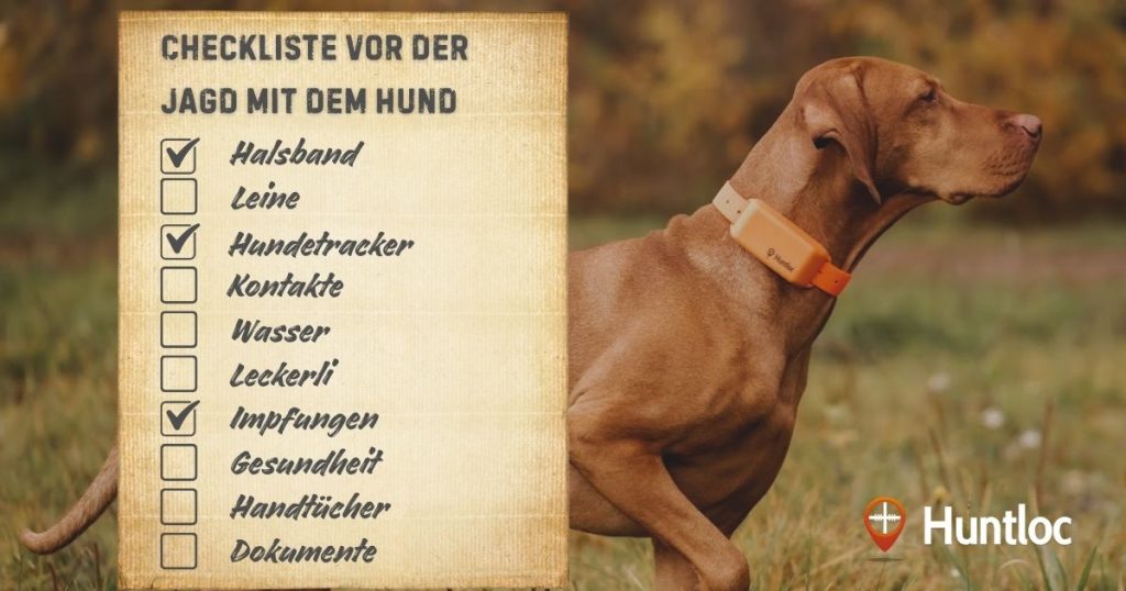 Checkliste vor der Jagd mit dem Hund